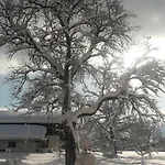 Alpenblick Апартаменты