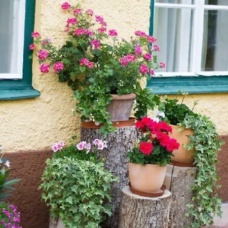 Alpenblick Apartmán