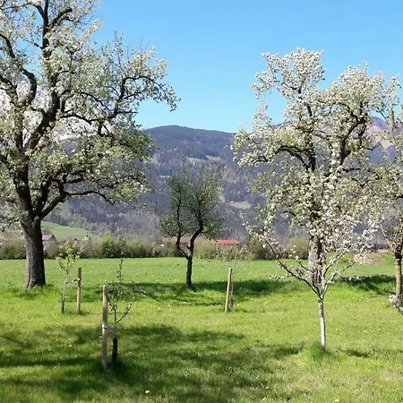 Alpenblick *