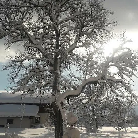 Alpenblick Appartamento