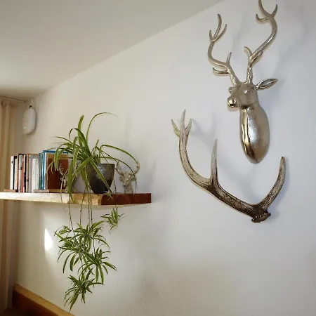 Appartement Alpenblick *