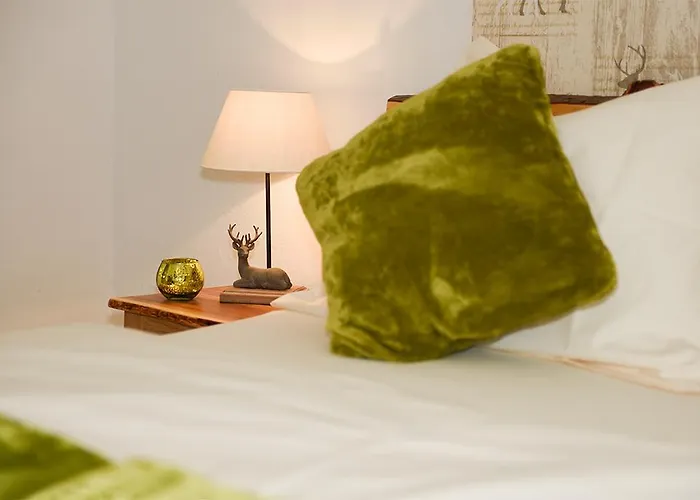 Alpenblick 公寓 库赫尔