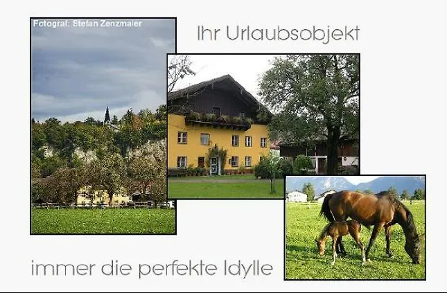 Alpenblick 库赫尔