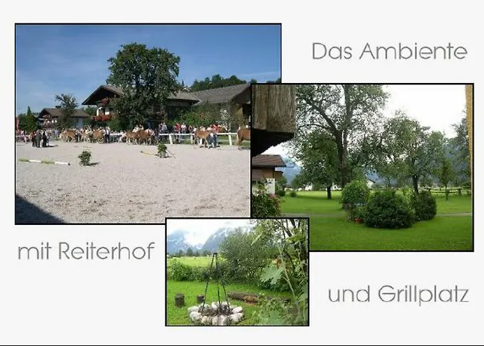 Daire Alpenblick *