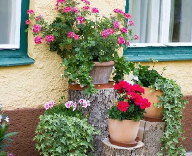 Alpenblick Daire