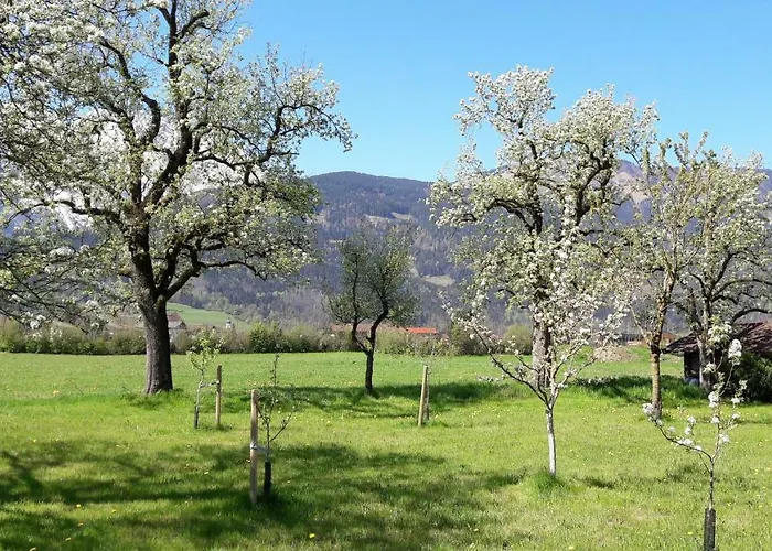 Alpenblick *